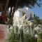 Nefeli Hotel_best deals_Hotel_Ionian Islands_Lefkada_Drimonas