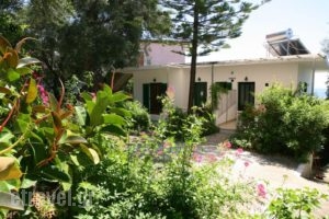 Alexia House_holidays_in_Hotel_Ionian Islands_Corfu_Corfu Rest Areas