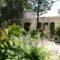 Alexia House_holidays_in_Hotel_Ionian Islands_Corfu_Corfu Rest Areas