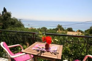 Alexia House_accommodation_in_Hotel_Ionian Islands_Corfu_Corfu Rest Areas