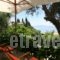 Alexia House_travel_packages_in_Ionian Islands_Corfu_Corfu Rest Areas