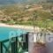 Erofili Beach Hotel_lowest prices_in_Hotel_Aegean Islands_Ikaria_Raches