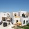 Summer Dream Ii_holidays_in_Hotel_Cyclades Islands_Naxos_Agia Anna