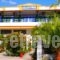 Blue Bay Beach Hotel_holidays_in_Hotel_Aegean Islands_Thasos_Thasos Chora