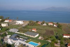 Ktima Karassou_travel_packages_in_Central Greece_Fthiotida_Kamena Vourla