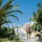 Mentikas Studios_travel_packages_in_Ionian Islands_Zakinthos_Laganas