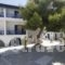 Katerina Hotel_best prices_in_Hotel_Cyclades Islands_Naxos_Naxos chora