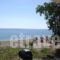 Studios Yalos_best deals_Hotel_Thessaly_Magnesia_Zagora