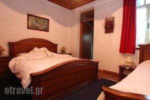 Timfea Chalet_best prices_in_Hotel_Epirus_Ioannina_Fraggades