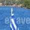 Blue Beach_best prices_in_Hotel_Piraeus islands - Trizonia_Spetses_Spetses Chora