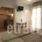 Studios Naxos_best deals_Hotel_Cyclades Islands_Naxos_Naxos chora