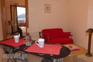 Studio Anesis_lowest prices_in_Hotel_Piraeus Islands - Trizonia_Aigina_Agia Marina