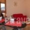 Studio Anesis_lowest prices_in_Hotel_Piraeus Islands - Trizonia_Aigina_Agia Marina