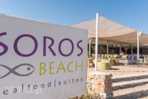 Soros Beach_holidays_in_Hotel_Cyclades Islands_Antiparos_Antiparos Chora