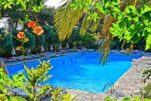 Sitia Beach_best prices_in_Hotel_Crete_Lasithi_Sitia