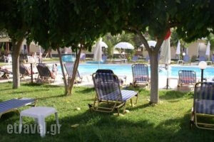 Pythos Studios_lowest prices_in_Hotel_Ionian Islands_Kefalonia_Vlachata