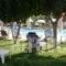 Pythos Studios_lowest prices_in_Hotel_Ionian Islands_Kefalonia_Vlachata