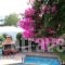 Mary Hotel_best deals_Hotel_Aegean Islands_Samos_Marathokambos