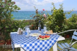 Akrogiali Hotel_best prices_in_Hotel_Aegean Islands_Lesvos_Plomari