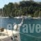 Meganisi Blue Villa & Studios_lowest prices_in_Villa_Ionian Islands_Lefkada_Lefkada Rest Areas