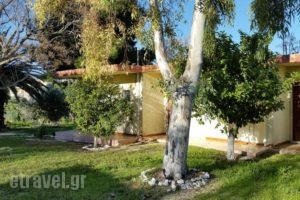 Danaides Bungalows_accommodation_in_Hotel_Peloponesse_Argolida_Tolo