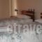 Hotel Koutriaris_best deals_Hotel_Central Greece_Viotia_Arachova