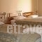 Hotel Koutriaris_lowest prices_in_Hotel_Central Greece_Viotia_Arachova