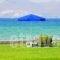 The Aeolos Beach Hotel_best deals_Hotel_Dodekanessos Islands_Kos_Marmari