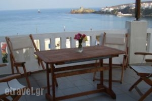 Vassiliki Studios_best prices_in_Hotel_Cyclades Islands_Andros_Andros City