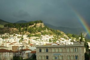 Hotel Amfissaeum_accommodation_in_Hotel_Central Greece_Fokida_Amfissa