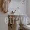 Hotel Orfeas_best deals_Hotel_Central Greece_Fokida_Delfi