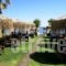 Panos Beach Hotel_lowest prices_in_Hotel_Crete_Chania_Platanias