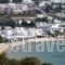 Hotel Livadia_best deals_Hotel_Cyclades Islands_Paros_Paros Chora