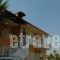 Estelle Hotel_best deals_Hotel_Macedonia_Halkidiki_Poligyros