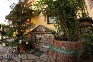 I Gonia Tis Linas_best prices_in_Hotel_Central Greece_Evritania_Karpenisi