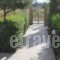 Paul'S Garden Studios_best prices_in_Hotel_Dodekanessos Islands_Rhodes_Rhodes Areas