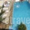 Denise Hotel_best prices_in_Hotel_Sporades Islands_Skopelos_Skopelos Chora