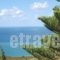 Aeolos Studios Kefalonia_holidays_in_Hotel_Ionian Islands_Kefalonia_Kefalonia'st Areas