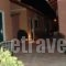 Camping Village Episkopi_best deals_Hotel_Ionian Islands_Lefkada_Vasiliki