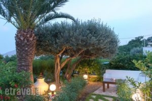 Hotel Elena_best prices_in_Hotel_Dodekanessos Islands_Leros_Leros Chora