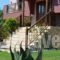 Studios Anassa_travel_packages_in_Aegean Islands_Thasos_Thasos Chora