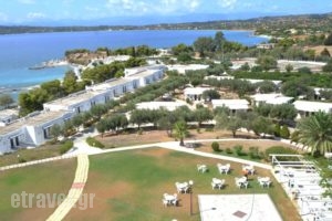 Club Ermioni_accommodation_in_Hotel_Peloponesse_Arcadia_Leonidio