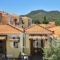 Christina'S Garden_best deals_Hotel_Aegean Islands_Lesvos_Petra