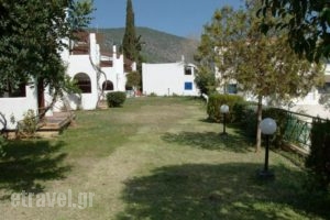 Argo_best prices_in_Hotel_Peloponesse_Korinthia_Korfos