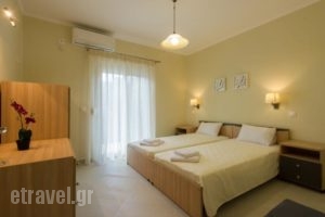 Canary Studios_accommodation_in_Hotel_Epirus_Preveza_Parga