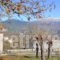 Artsistas Houses_holidays_in_Hotel_Epirus_Ioannina_Aristi