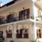 Pension'Sidon_accommodation_in_Hotel_Peloponesse_Ilia_Olympia