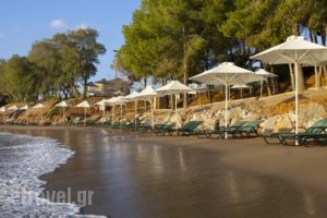 Candia Park Village_travel_packages_in_Crete_Lasithi_Ammoudara