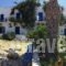 Pension Askas_best prices_in_Hotel_Cyclades Islands_Amorgos_Amorgos Chora