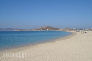 Naxos Island  Hotel_best prices_in_Hotel_Cyclades Islands_Paros_Paros Chora